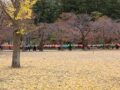 가을빛 고운 산사 산책 - 48차 이연섭님