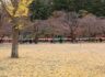 가을빛 고운 산사 산책 - 48차 이연섭님