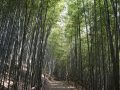 담양 - 대나무골 테마공원